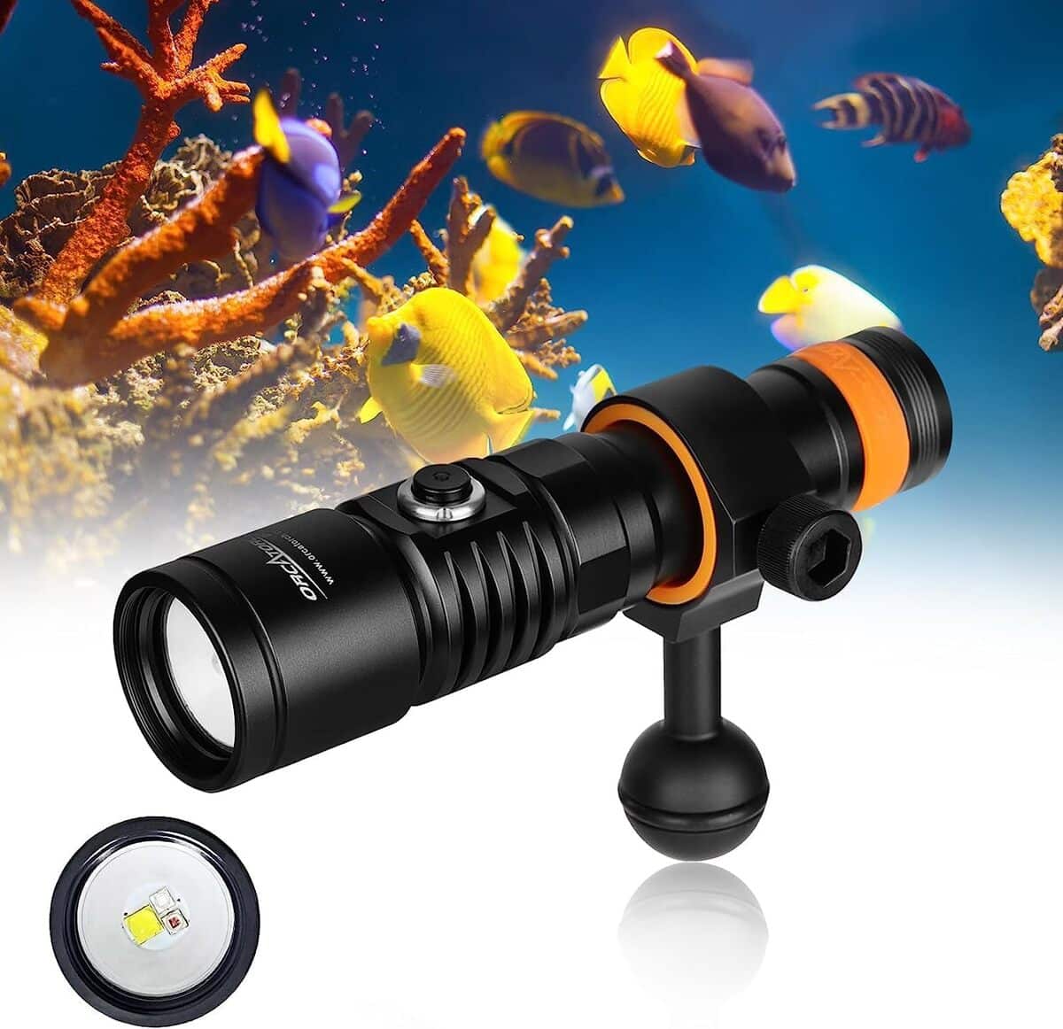 Test de la lampe de plongée Orcatorch D710V : puissance à 2025 lumens et faisceau large
