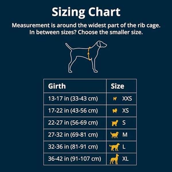 Découvrez notre avis sur le gilet Ruffwear Float Coat : confort, sécurité et flottabilité pour votre chien lors des sorties aquatiques