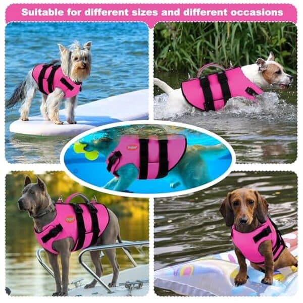 Découvrez notre test complet du gilet de sauvetage haute visibilité Doglay pour chien : sécurité et confort assurés pour vos compagnons à quatre pattes lors de vos aventures aquatiques