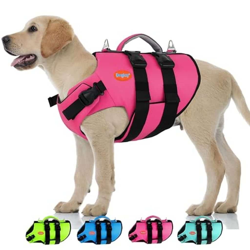 Test : gilet de sauvetage haute visibilité Doglay pour chien