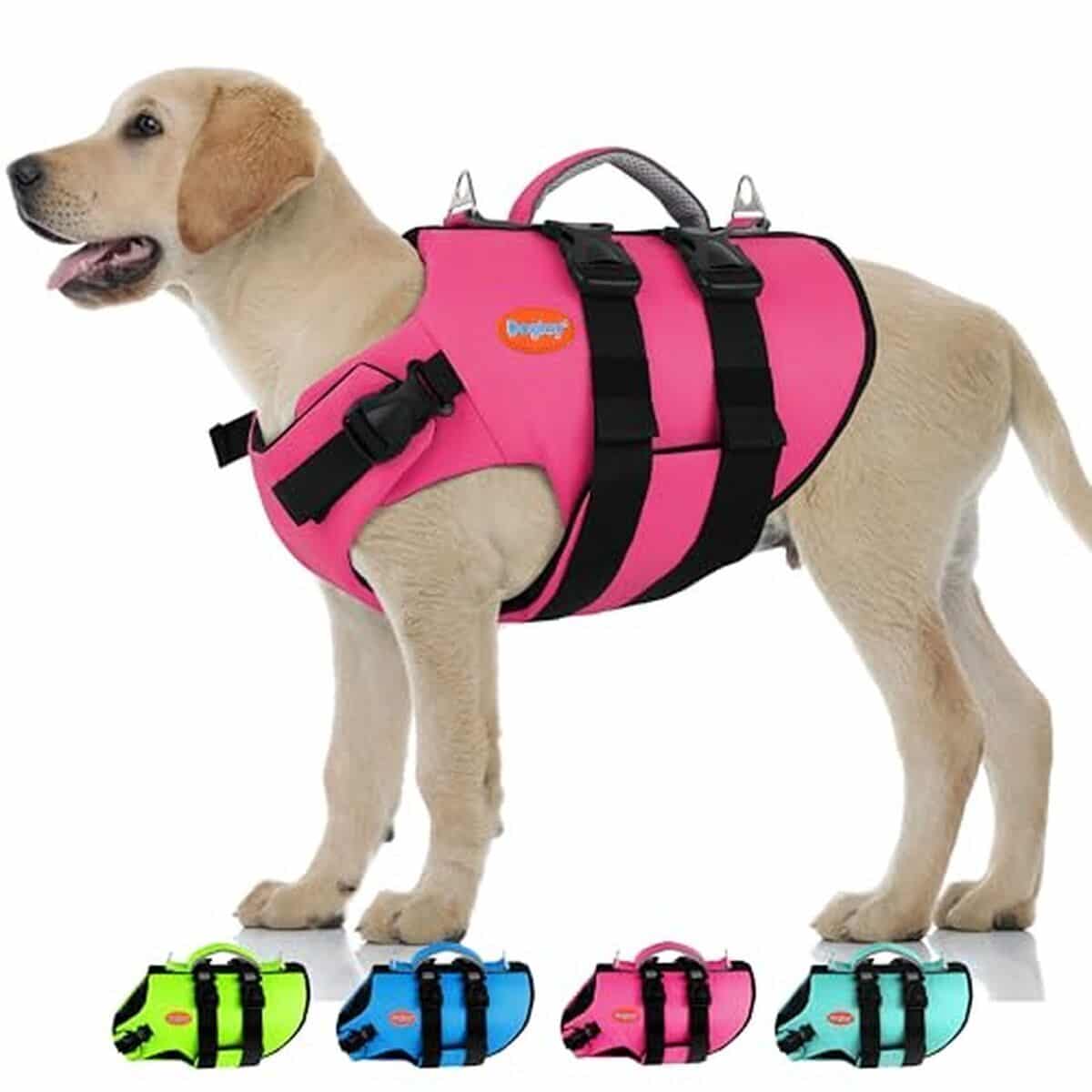 Test : gilet de sauvetage haute visibilité Doglay pour chien